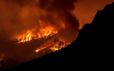 Incendio de Arafo-Candelaria, en Tenerife.