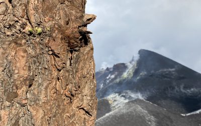 Dos años desde la erupción del volcán Tajogaite en la isla de La Palma.